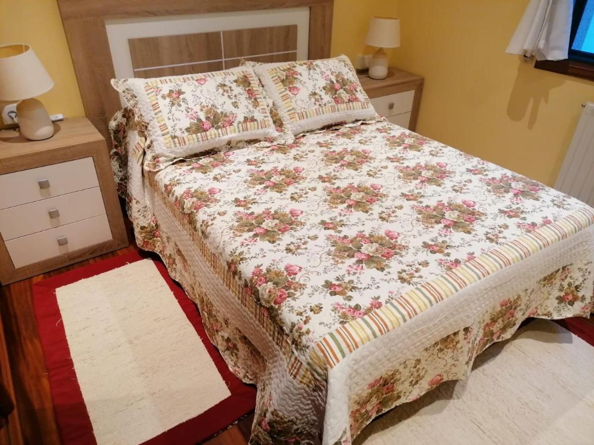 Appartement Piso As Camelias à Pontevedra Extérieur photo