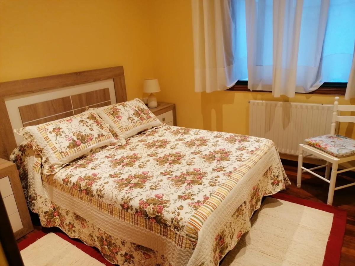 Appartement Piso As Camelias à Pontevedra Extérieur photo